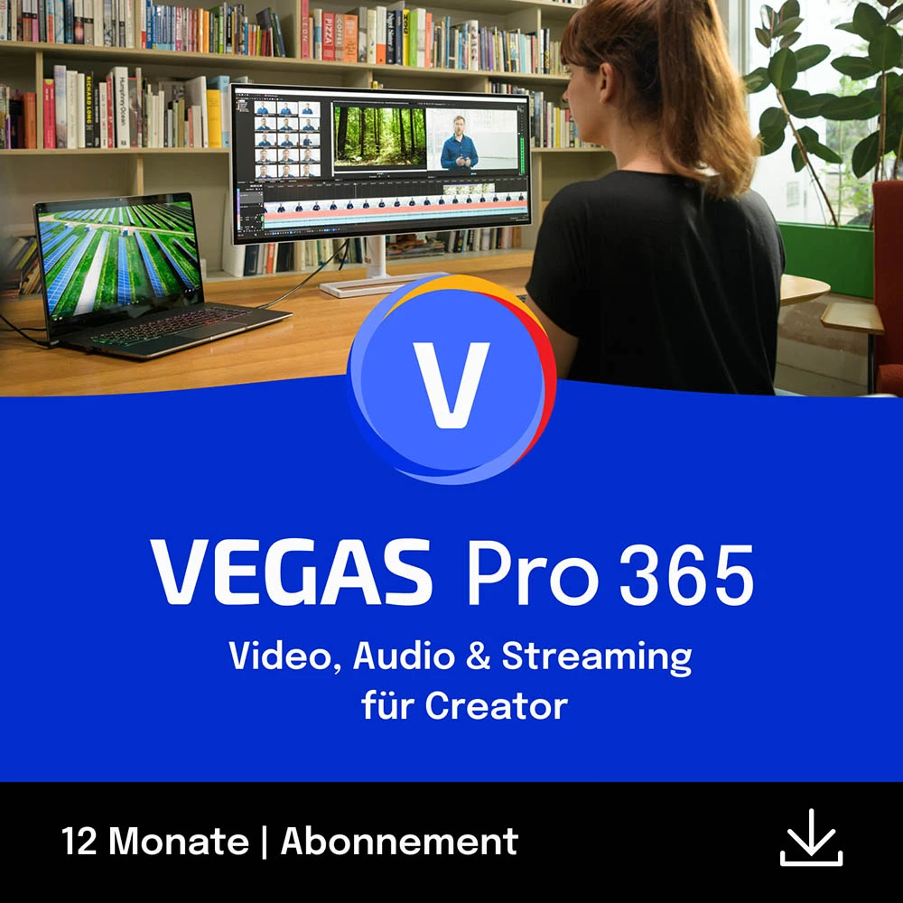 Vegas Pro 20 365